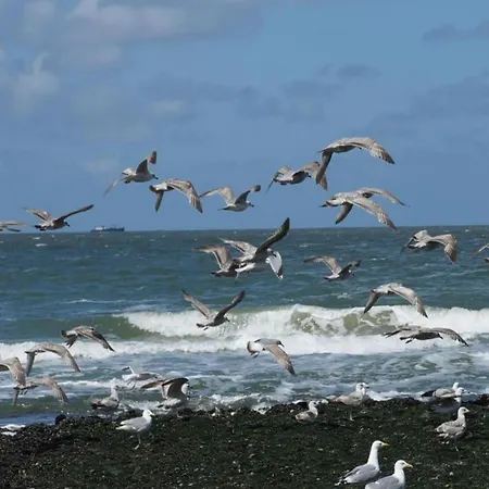 アパート In Near North Holland Coast, Cleaning Included *