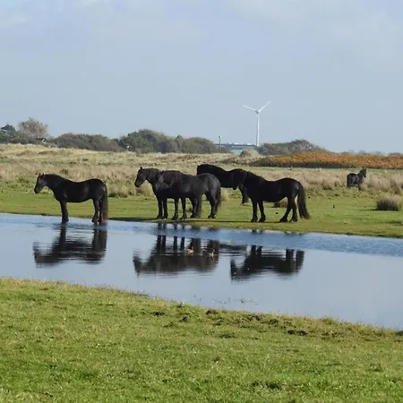 In Near North Holland Coast, Cleaning Included Lejlighed Callantsoog