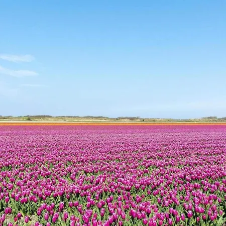 In Near North Holland Coast, Cleaning Included *