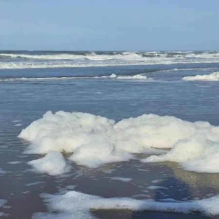 In Near North Holland Coast, Cleaning Included Lejlighed *