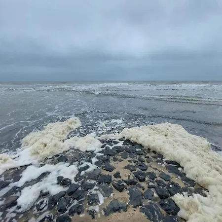 In Near North Holland Coast, Cleaning Included Lejlighed Callantsoog